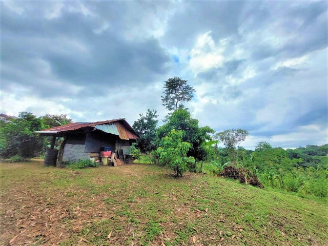 Commercial Property for Sale in Tocumen Panamá Province 07215